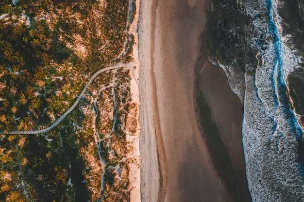 Best Great Ocean Road Beaches