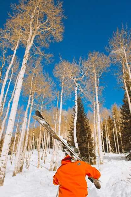 Top Ski Destinations Across the Country