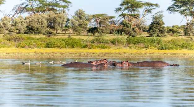 Travel Tips for Reaching Kakadu