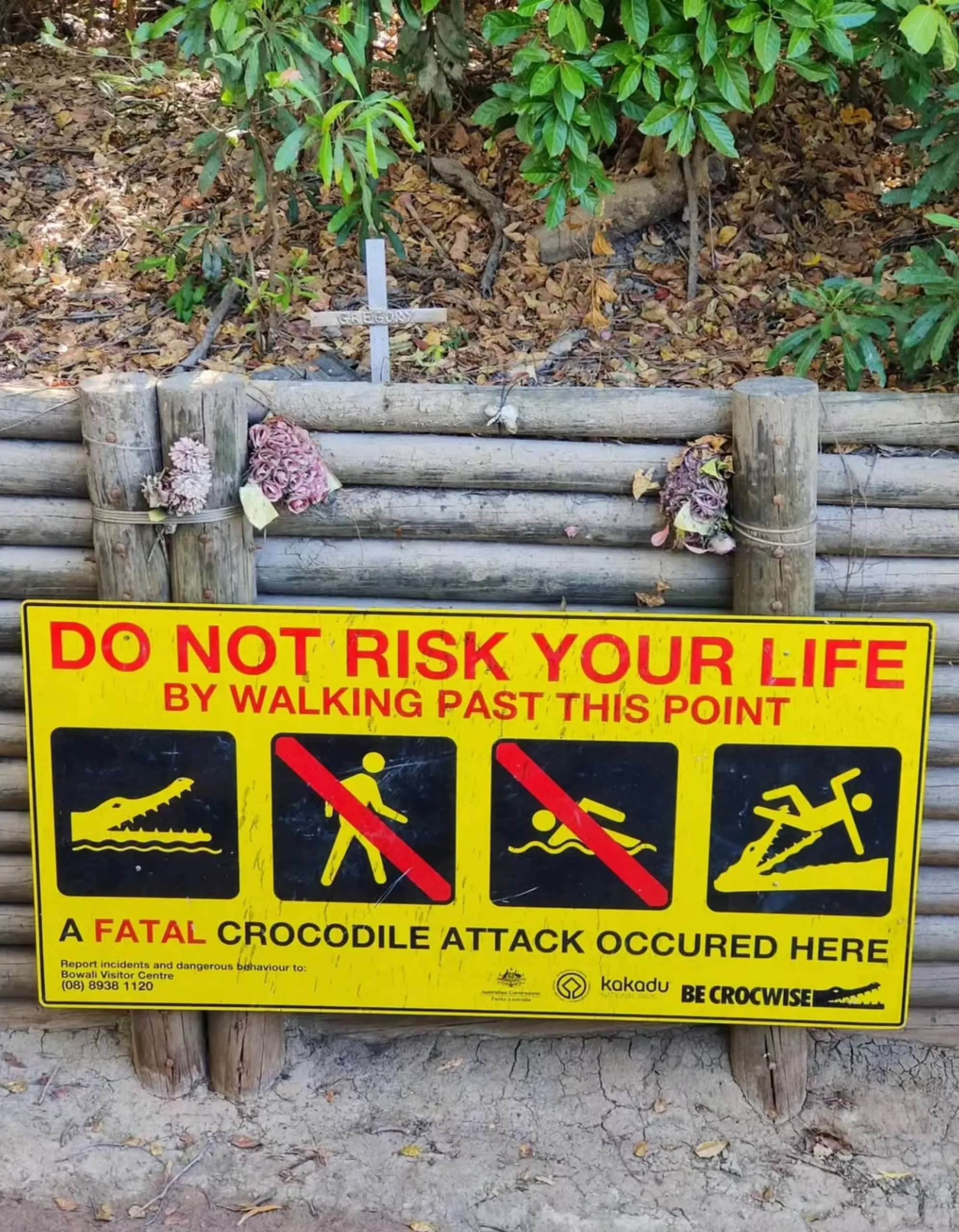 Crocodile Safety, Maguk Falls