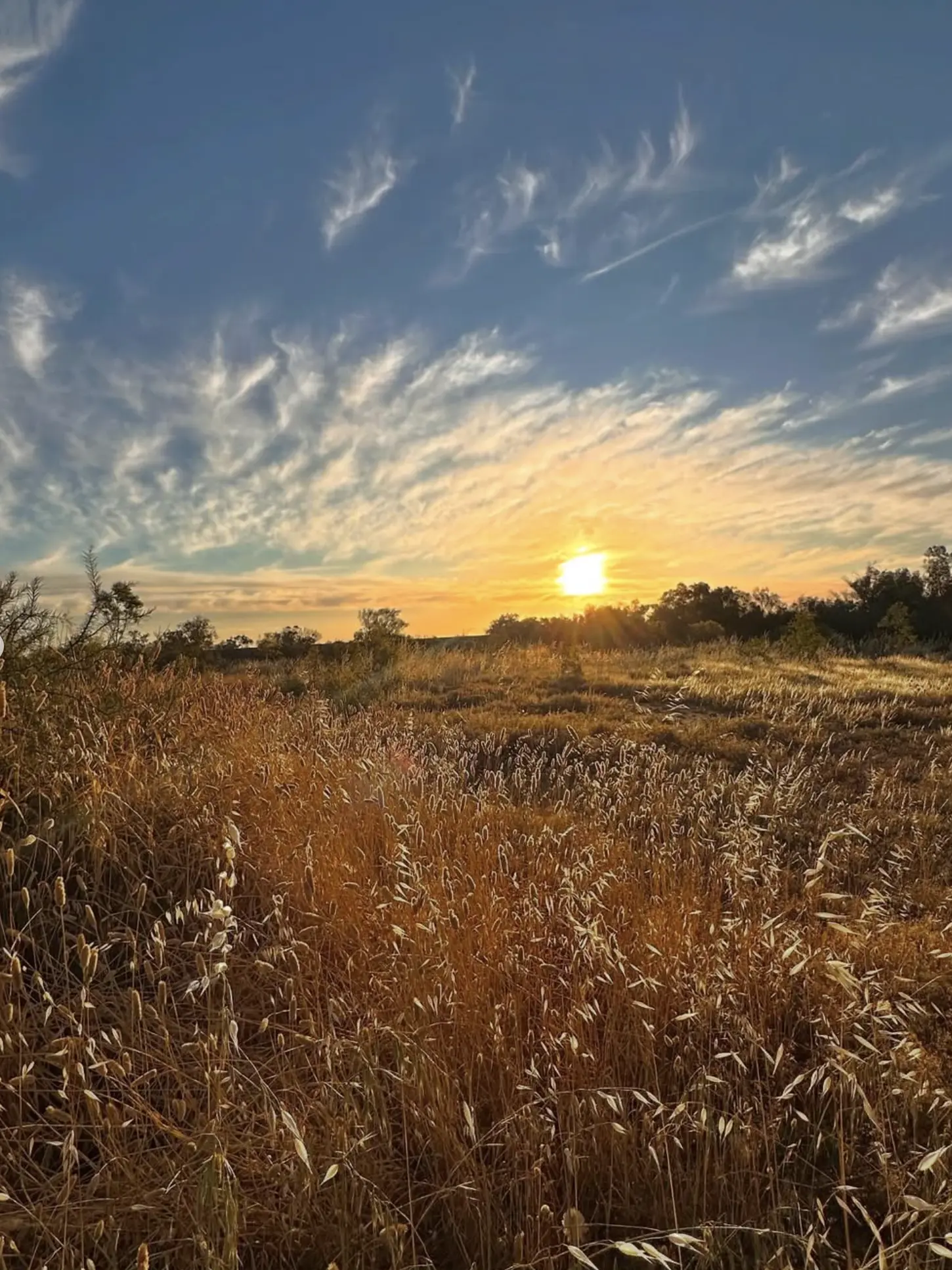 Francois Peron National Park