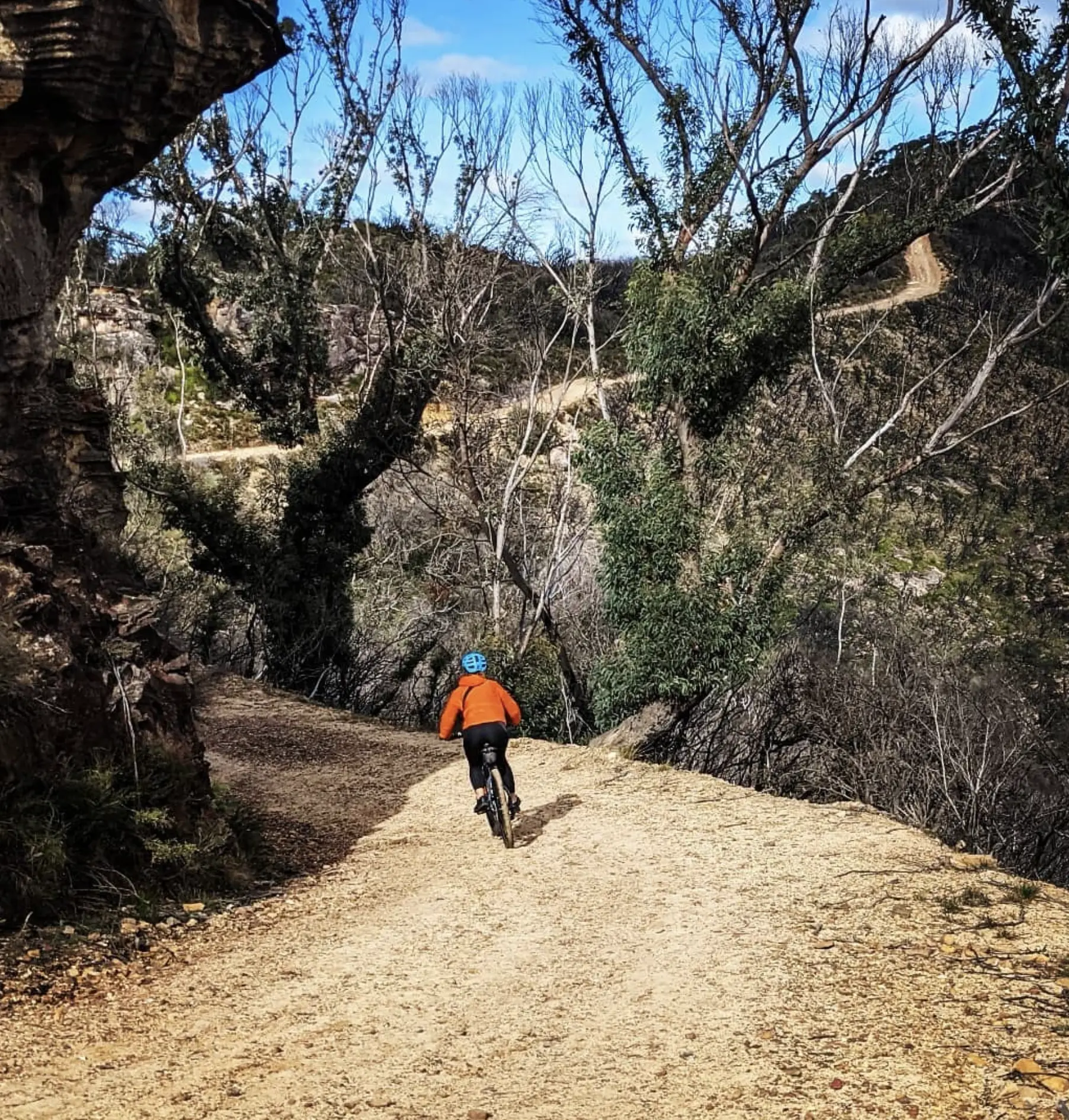 Blue Mountains Mountain Biking