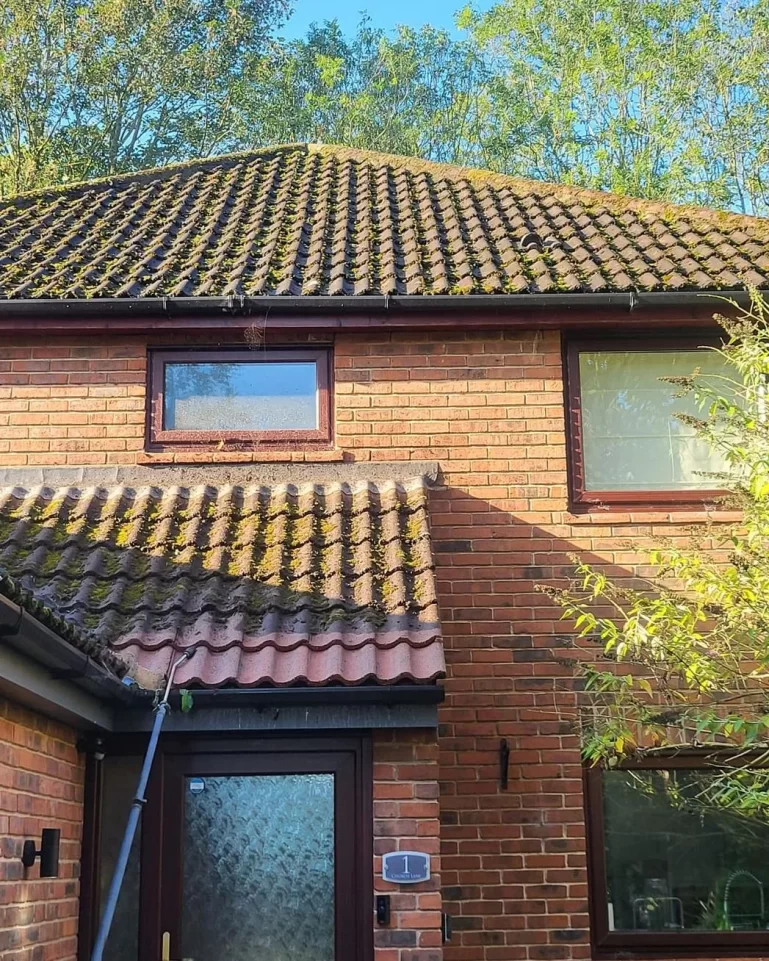 Should You Clean Your Roof Yourself, Pros, Risks & Tips