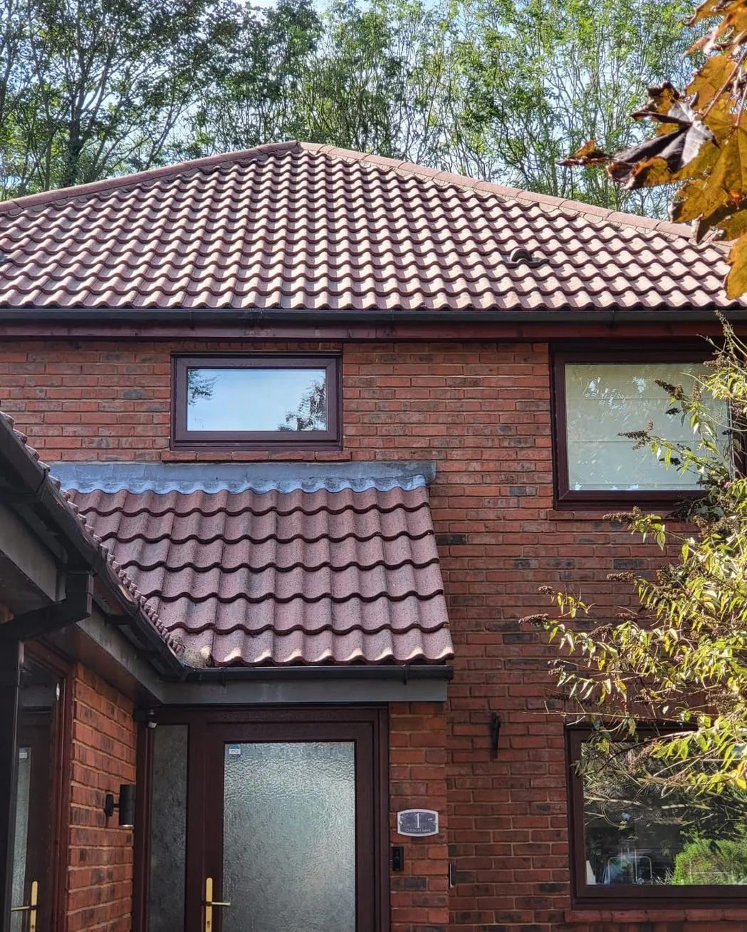 roof cleaners near me