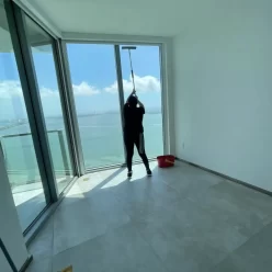 What Is the Best Interior Window Cleaning Solution?