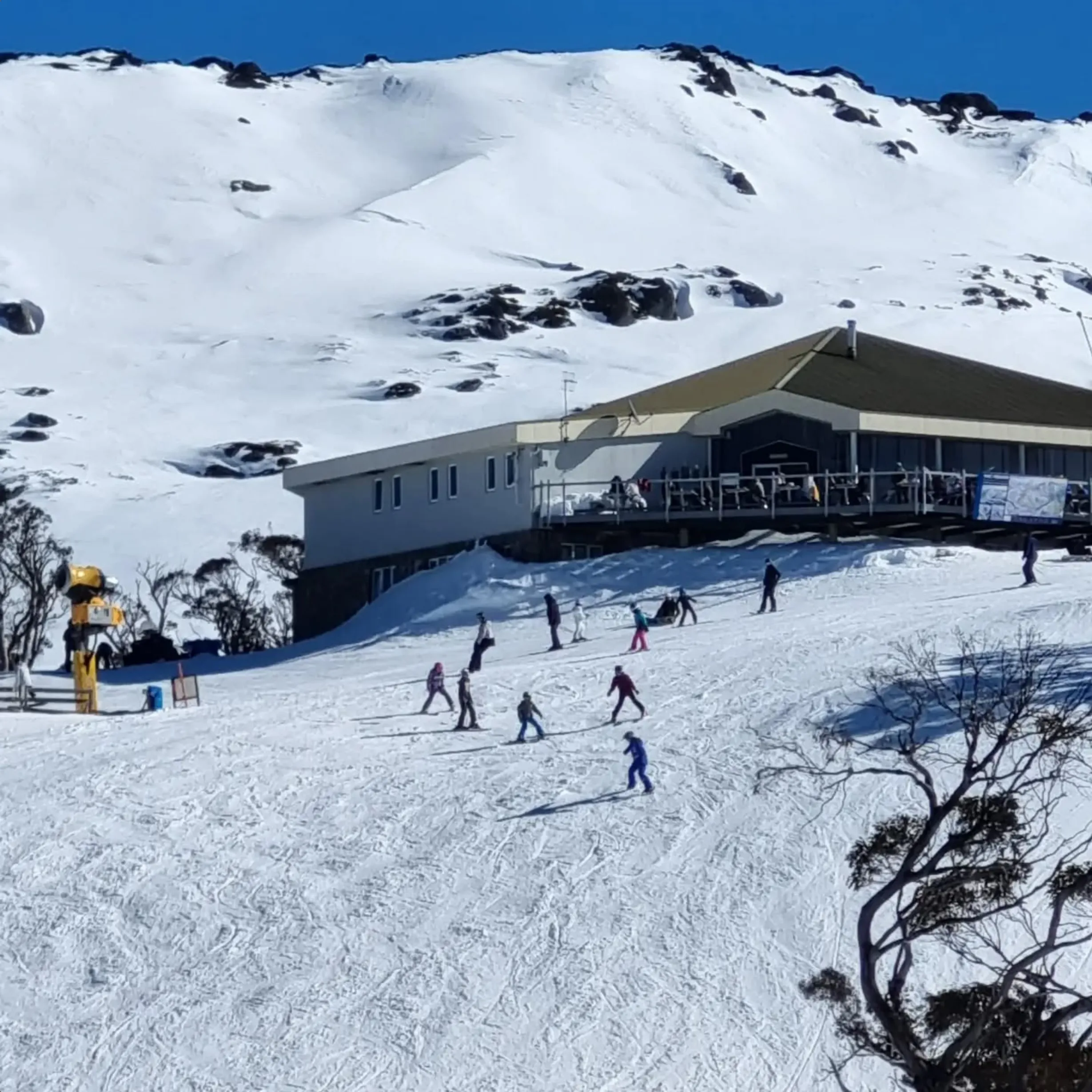 intermediate skier