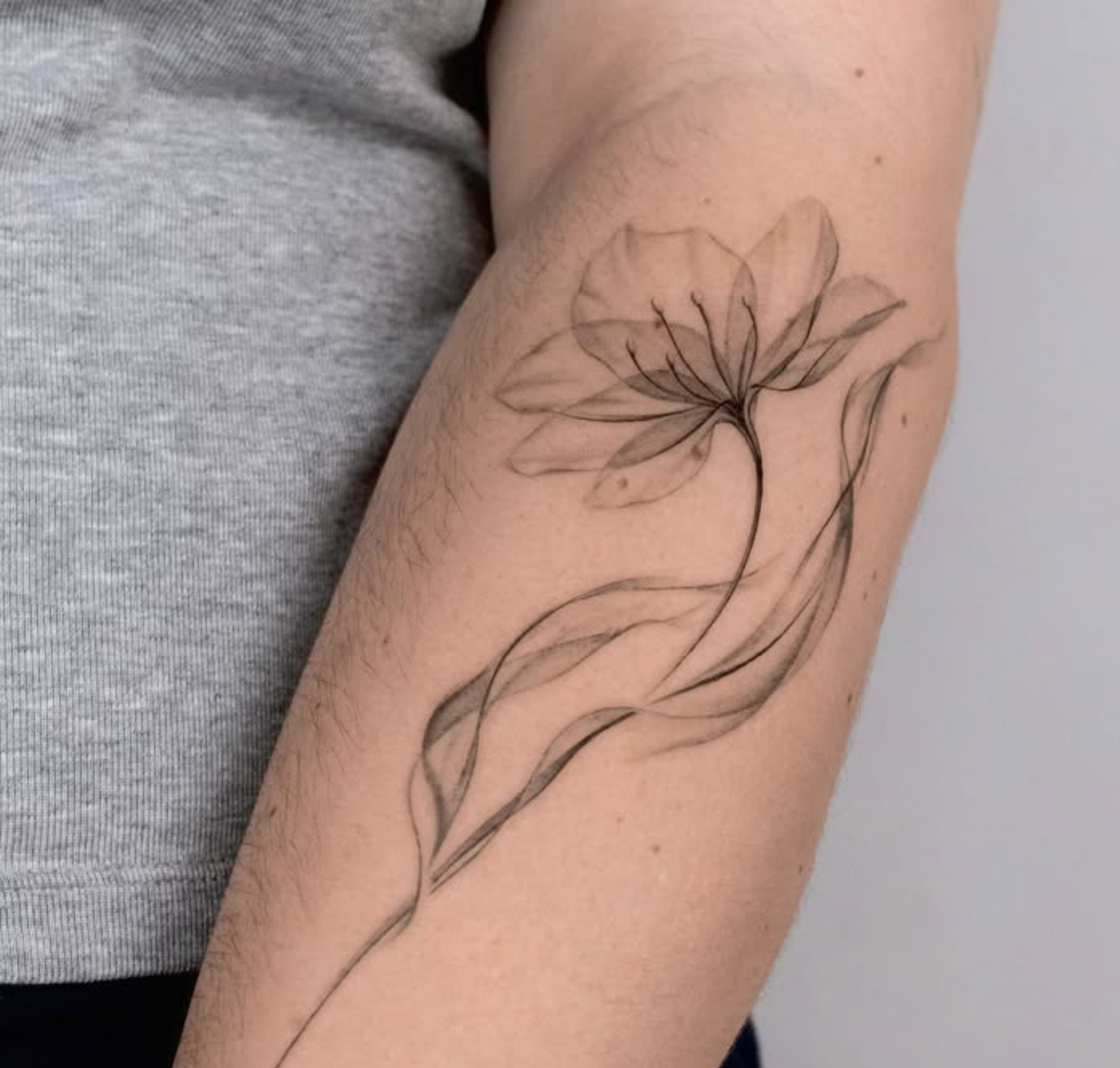 single needle tattoo fading