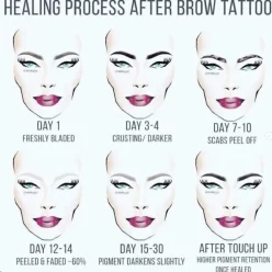 What Qualifications Are Needed for Microblading Training?
