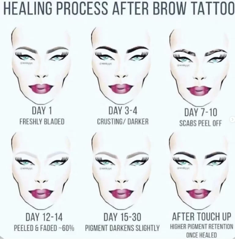 What Qualifications Are Needed for Microblading Training?
