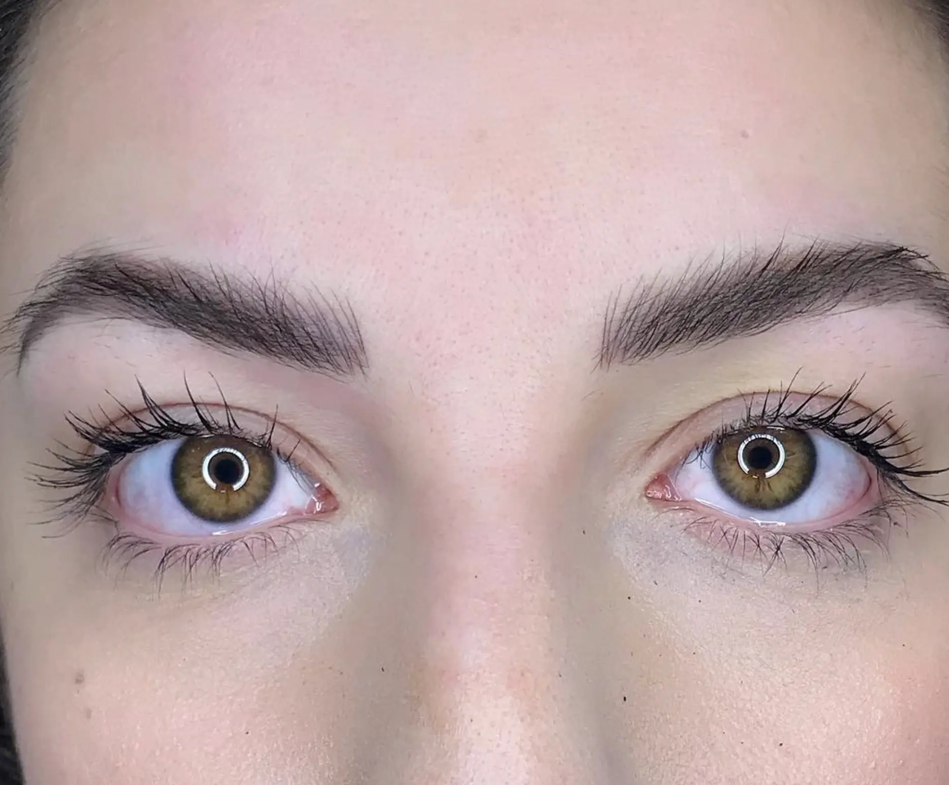 infection control certificate microblading