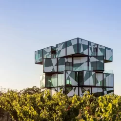 Can You Actually Walk Between Wineries
