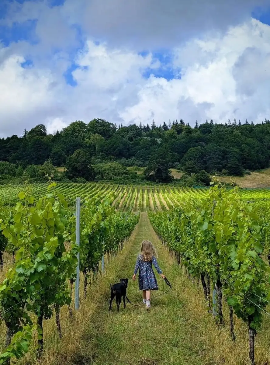 walk between wineries